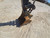 https://api.rdoequipment.com/api/EquipmentImage?imgID=18390756&filename=12_20240816_113349.jpg
