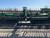 https://api.rdoequipment.com/api/EquipmentImage?imgID=20203049&filename=20_1H0HD45FVP0830050---20.jpg