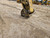 https://api.rdoequipment.com/api/EquipmentImage?imgID=19516052&filename=7_20250120_104416.jpg