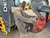 https://api.rdoequipment.com/api/EquipmentImage?imgID=19442121&filename=21_IMG_6532.jpg