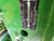 https://api.rdoequipment.com/api/EquipmentImage?imgID=19959185&filename=13_50.jpg