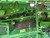 https://api.rdoequipment.com/api/EquipmentImage?imgID=20133121&filename=14_Z116150---14.jpg