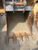 https://api.rdoequipment.com/api/EquipmentImage?imgID=15047704&filename=2_Photo-Jun-06-2023,-3-25-22-PM.jpg