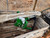 https://api.rdoequipment.com/api/EquipmentImage?imgID=19889857&filename=5_20250318_104054.jpg