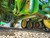 https://api.rdoequipment.com/api/EquipmentImage?imgID=20302238&filename=15_Z017089---15.jpg