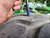 https://api.rdoequipment.com/api/EquipmentImage?imgID=19631764&filename=24_Z044858---32.jpg