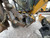 https://api.rdoequipment.com/api/EquipmentImage?imgID=19540359&filename=12_IMG_5161.jpg