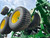 https://api.rdoequipment.com/api/EquipmentImage?imgID=20553305&filename=12_1A8N560FHRH805136---12.jpg