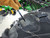 https://api.rdoequipment.com/api/EquipmentImage?imgID=19493609&filename=19_1N0410RXHR0242330---19.jpg