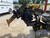 https://api.rdoequipment.com/api/EquipmentImage?imgID=19157411&filename=5_20240709_195343209_iOS.jpg