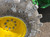 https://api.rdoequipment.com/api/EquipmentImage?imgID=19748156&filename=39_830611---39.jpg