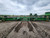 https://api.rdoequipment.com/api/EquipmentImage?imgID=20626905&filename=15_Z142332---15.jpg
