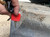 https://api.rdoequipment.com/api/EquipmentImage?imgID=20243226&filename=27_Z150284---26.jpg