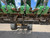 https://api.rdoequipment.com/api/EquipmentImage?imgID=20165635&filename=28_830039---29.jpg