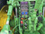 https://api.rdoequipment.com/api/EquipmentImage?imgID=19436131&filename=15_Z139206---15.jpg