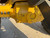 https://api.rdoequipment.com/api/EquipmentImage?imgID=22122803&filename=15_X351903---15.jpg