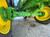 https://api.rdoequipment.com/api/EquipmentImage?imgID=20972692&filename=9_Z191738---09.jpg
