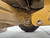 https://api.rdoequipment.com/api/EquipmentImage?imgID=22048432&filename=21_Z223503---21.jpg