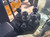 https://api.rdoequipment.com/api/EquipmentImage?imgID=22811326&filename=44_Z008448---45.jpg