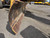 https://api.rdoequipment.com/api/EquipmentImage?imgID=23617120&filename=30_Z257912---30.jpg