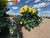 https://api.rdoequipment.com/api/EquipmentImage?imgID=23643489&filename=7_20260630_211551952_iOS.jpg