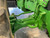 https://api.rdoequipment.com/api/EquipmentImage?imgID=23824220&filename=40_Z271335---41.jpg