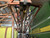 https://api.rdoequipment.com/api/EquipmentImage?imgID=24054029&filename=18_D889759_19.jpg