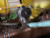 https://api.rdoequipment.com/api/EquipmentImage?imgID=24054024&filename=13_D889759_14.jpg