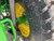 https://api.rdoequipment.com/api/EquipmentImage?imgID=22914522&filename=17_Z202438---20.jpg