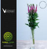 Pink Victory, 60cm, 10 Stems, FLORAL CHAIN GROUP