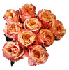 Shimmer, 50cm, 25 Stems, MUCH FLOWERS