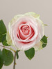 Frutteto, 40cm, 25 Stems, ROSAPRIMA CIA. LTDA. (SKU: 3307-43-217)
