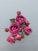 Mystic Bubbles, 55cm, 5 Stems, EUROSA FARMS LTD