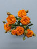 Smashing, 55cm, 10 Stems, EUROSA FARMS LTD