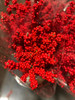 Ilex Crimson Red, 50cm, 5 Stems, FAIRFIELD