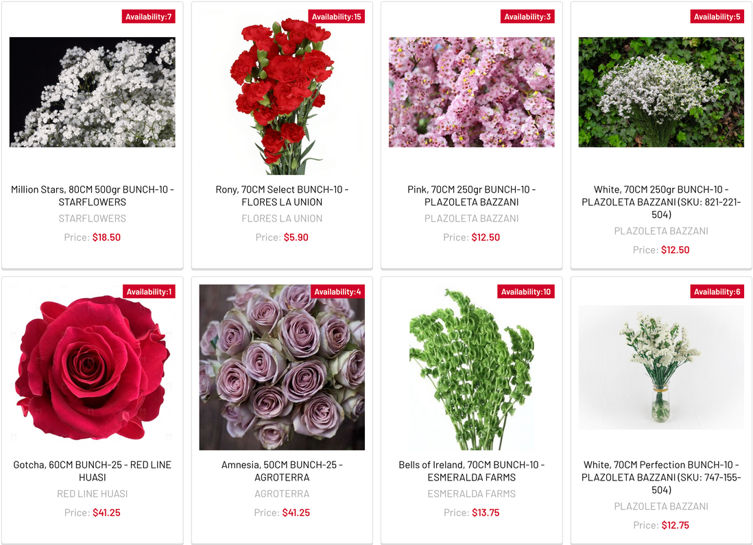 Webshop Launch: Your Ultimate Floral Destination!