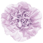 ALBIN HAGSTRON & SON