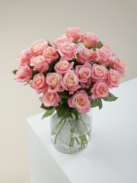 Miss Piggy, 40cm, 25 Stems, ROSAPRIMA CIA. LTDA. (SKU: 52987-43-217)