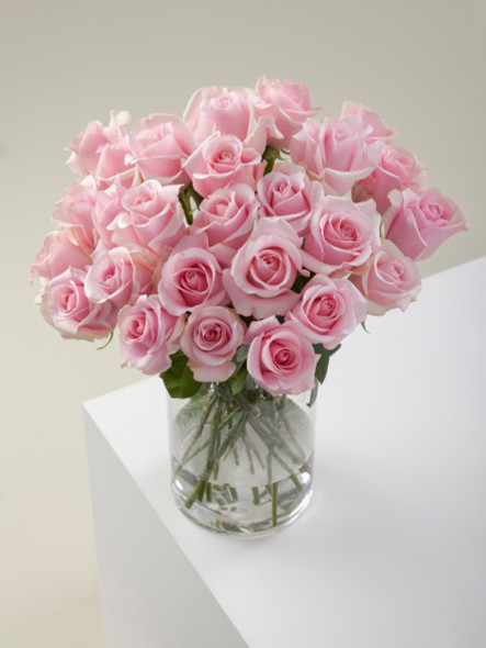 Titanic, 50cm, 25 Stems, ROSAPRIMA CIA. LTDA.