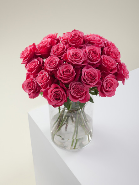 Cherry O, 40cm, 25 Stems, ROSAPRIMA CIA. LTDA. Cherry O, 40cm, 25 Stems, ROSAPRIMA CIA. LTDA.