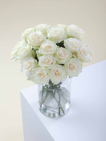 Mondial, 60cm, 25 Stems, ROSAPRIMA CIA. LTDA.