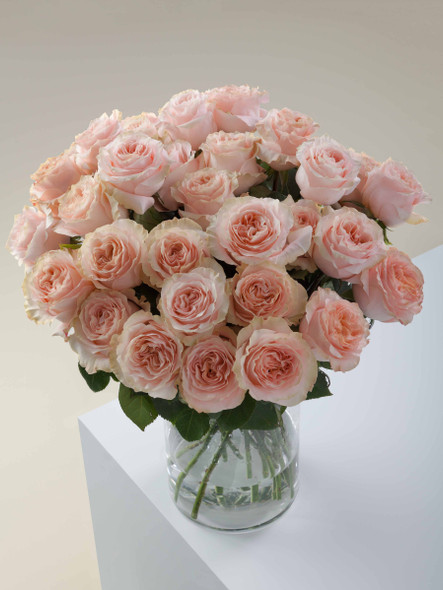 Princess Crown, 50cm, 25 Stems, ROSAPRIMA CIA. LTDA. (SKU: 4541-49-217)