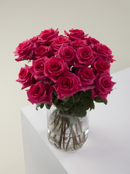Hot Paris, 40cm, 25 Stems, ROSAPRIMA CIA. LTDA. Hot Paris, 40cm, 25 Stems, ROSAPRIMA CIA. LTDA.