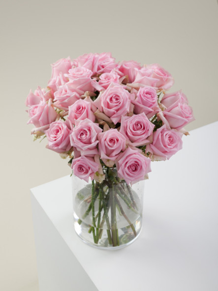 Jessika, 50cm, 25 Stems, ROSAPRIMA CIA. LTDA.