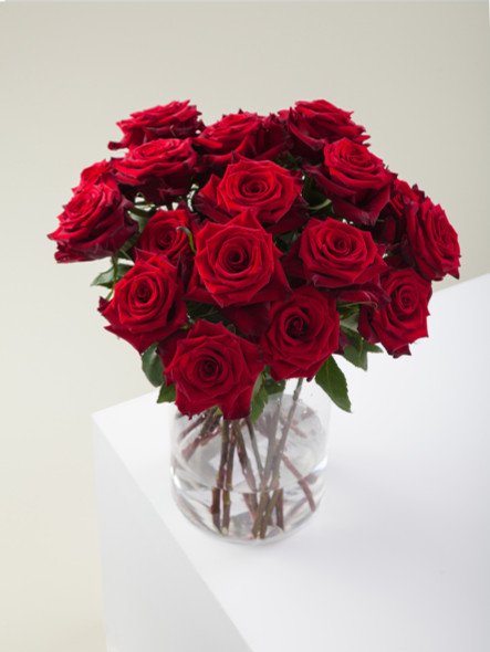 Red Paris, 40cm, 25 Stems, ROSAPRIMA CIA. LTDA. Red Paris, 40cm, 25 Stems, ROSAPRIMA CIA. LTDA.