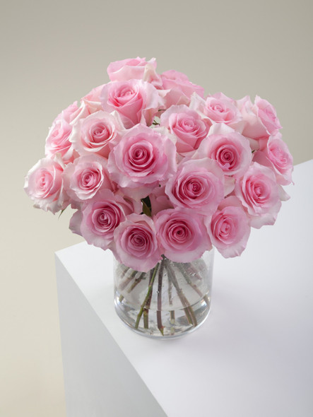 Christa, 40cm, 25 Stems, ROSAPRIMA CIA. LTDA.