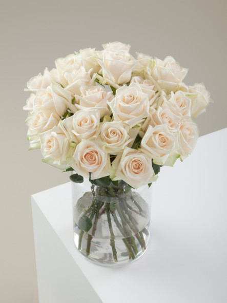 Soul, 60cm, 25 Stems, ROSAPRIMA CIA. LTDA.