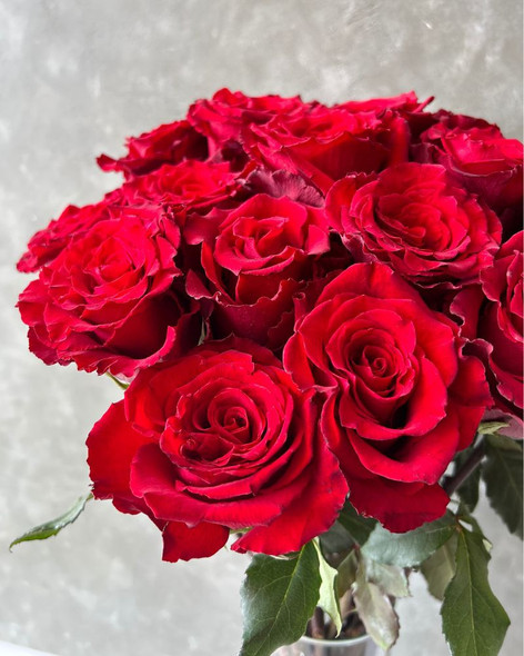 Born Free, 50cm, 25 Stems, ROSAS DEL CORAZON  ROSASLESANDI CIA LTDA