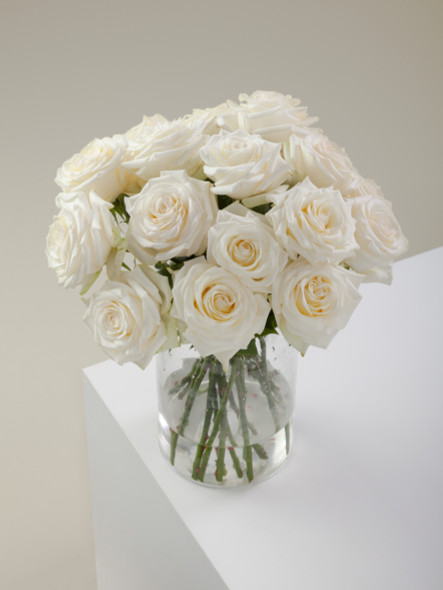 Candlelight, 60cm, 25 Stems, ROSAPRIMA CIA. LTDA. (SKU: 39175-50-217)