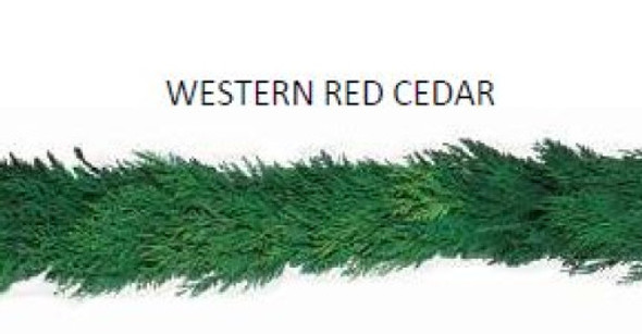 Garland 25 FT Western Red Cedar, BOX 1 Unit, MLF